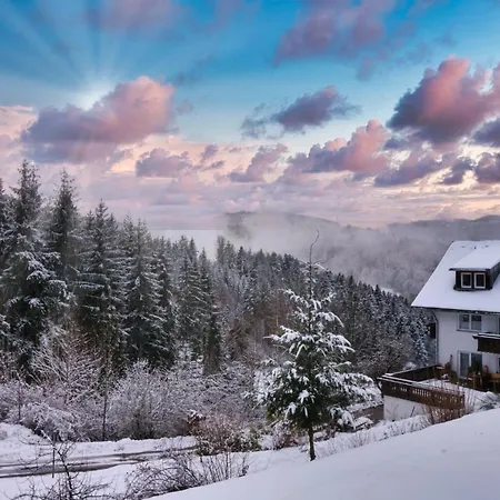 Landhaus Valentin Triberg im Schwarzwald Exterior photo