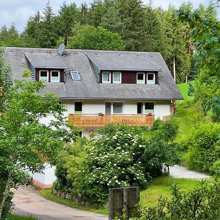 Landhaus Valentin Triberg im Schwarzwald Exterior photo