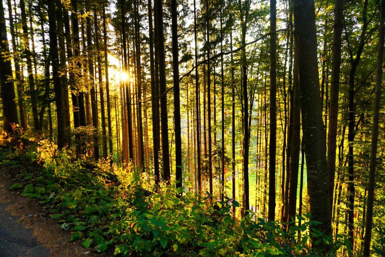 Valentin Triberg im Schwarzwald