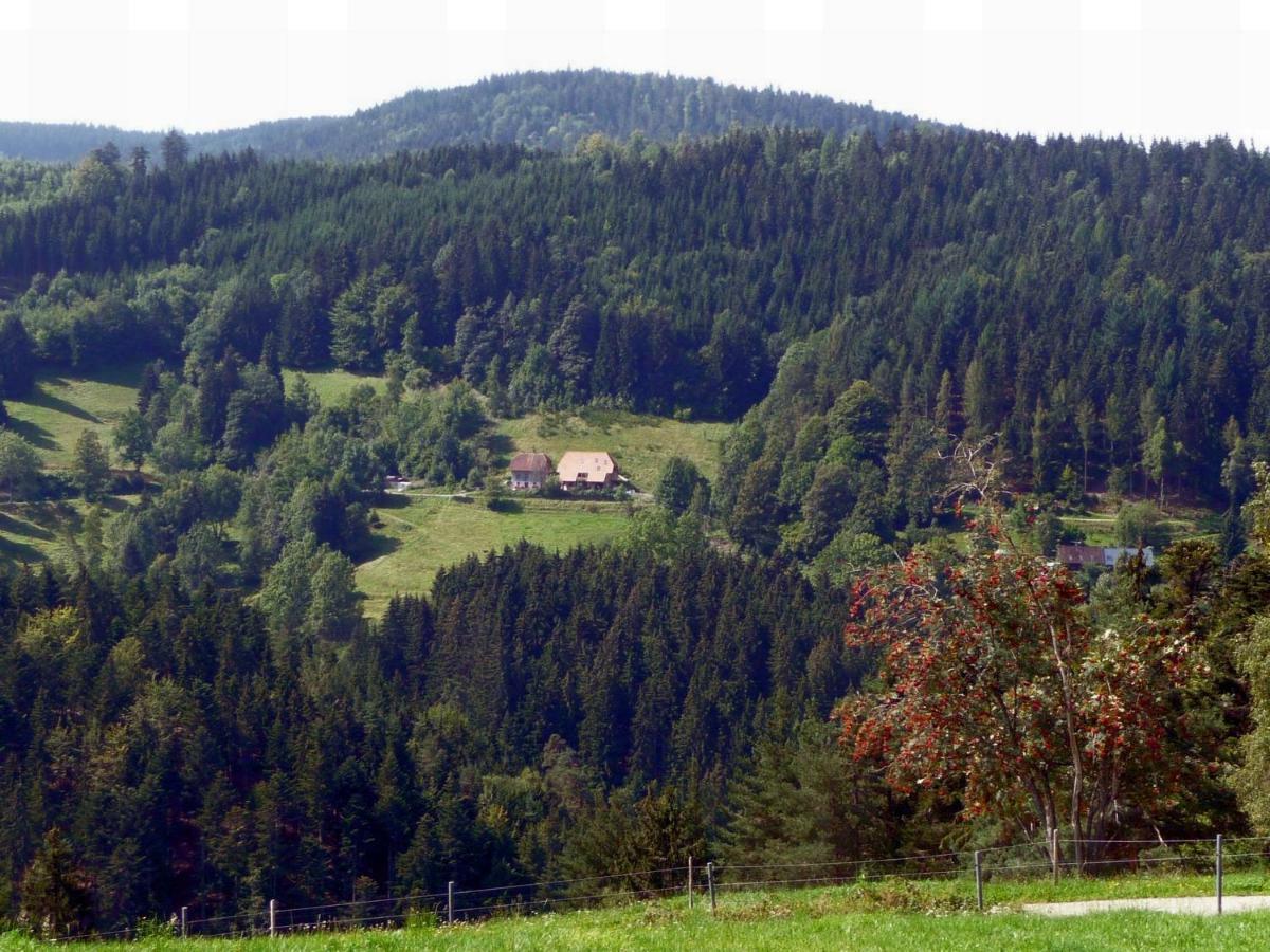 Valentin Triberg im Schwarzwald