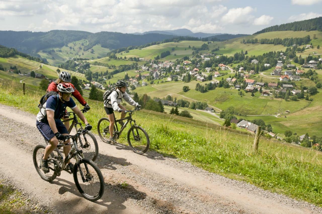 Valentin * Triberg im Schwarzwald