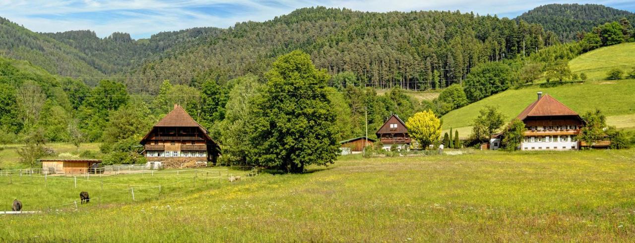 Apartment Valentin Triberg im Schwarzwald