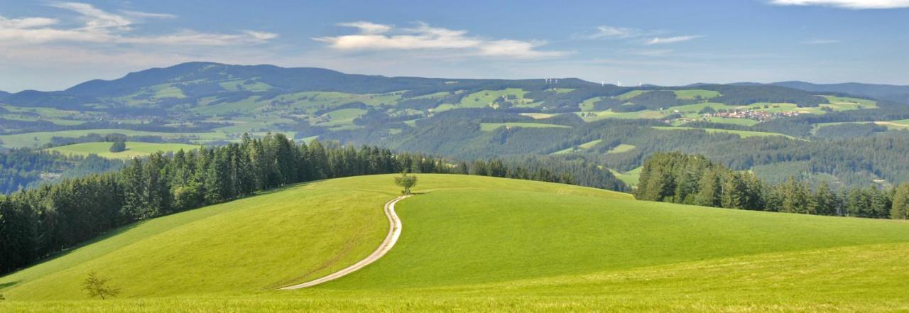 Valentin * Triberg im Schwarzwald